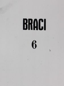 BRACI 6